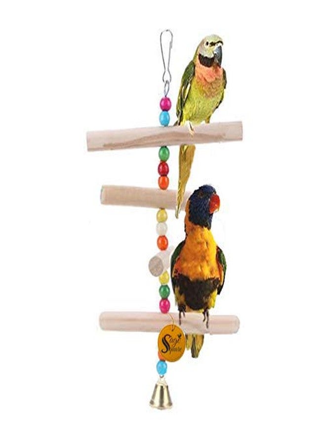 Sage Square Natural Wood Hanging Toy - Interactive Fun for Small & Medium Birds - Cage Accessories for Cockatiel, Lovebird, Budgerigar, Canary, and More,Elevate Your Bird's Playtime (Toy 5) - Image 4